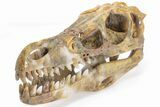 Carved Pietersite and Quartz Crystal Dinosaur Skull #199472-3